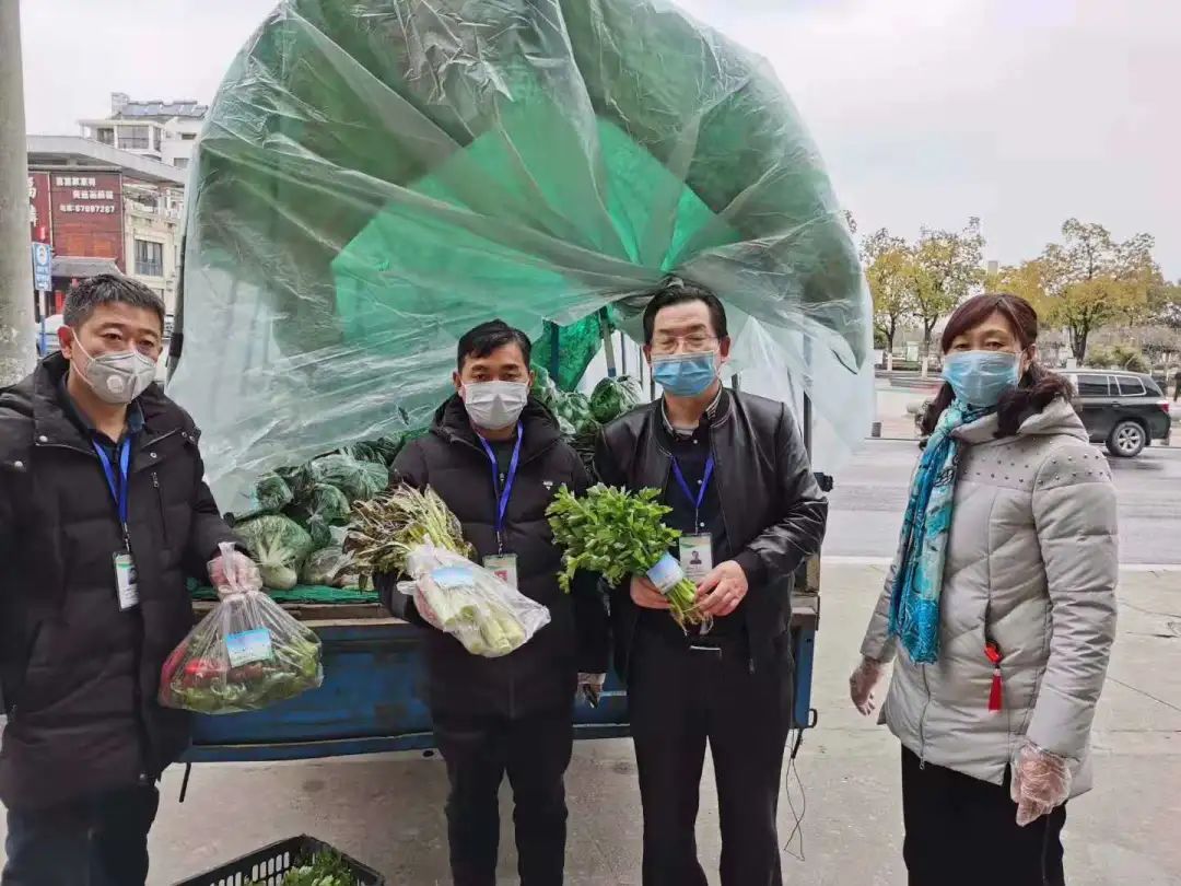 肥东最新疫情动态与影响概述