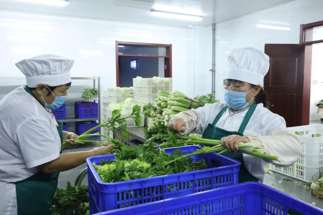 最新食堂标准，塑造健康餐饮环境的决定性因素